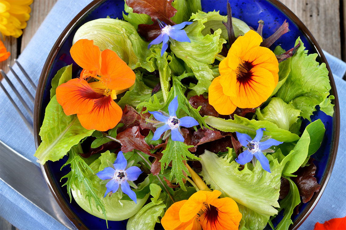 Essbare Blümchen Salat Essbare Blüten