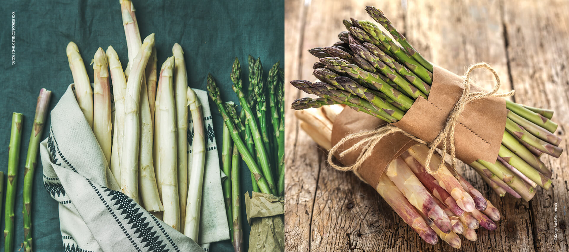 Spargel_Lagerung_Geschmack