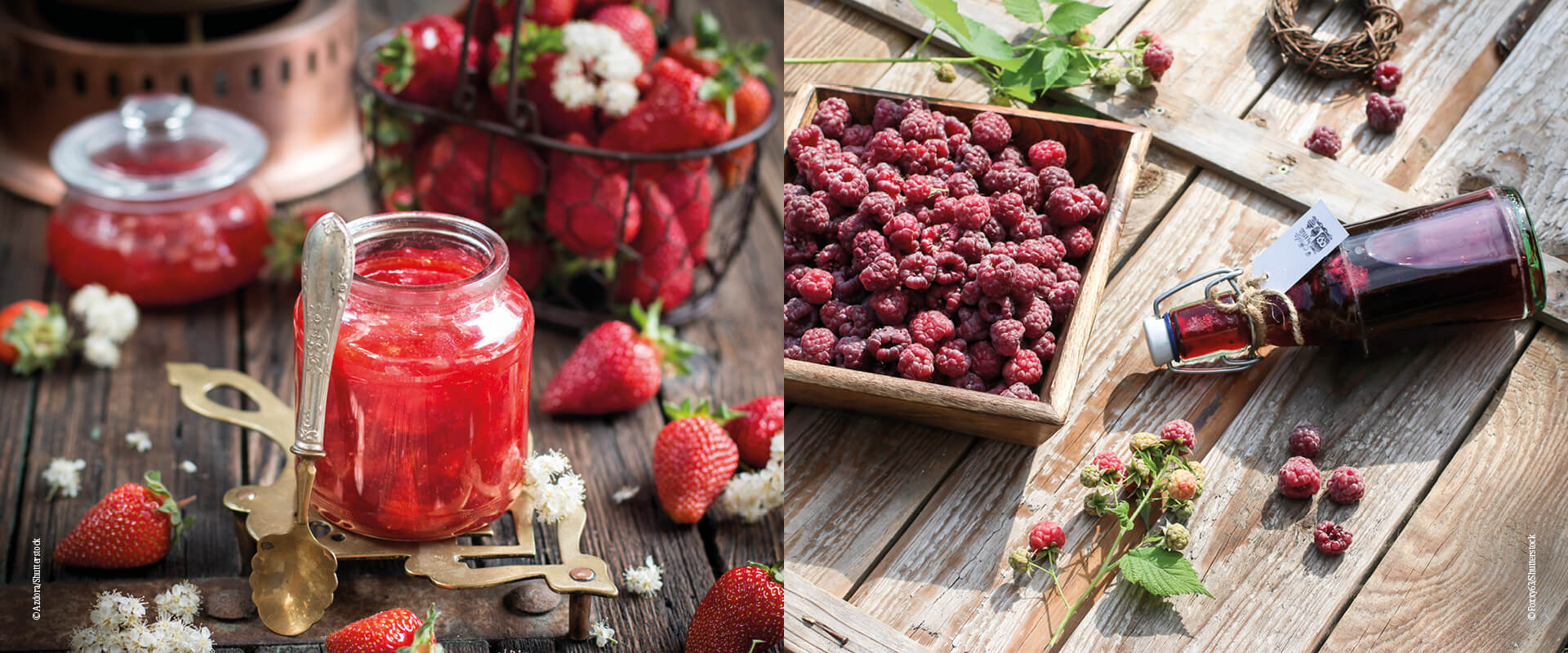 7 Tipps zum Umgang mit Beeren in der Küche - Tante Fanny