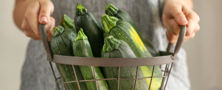 Zucchini
