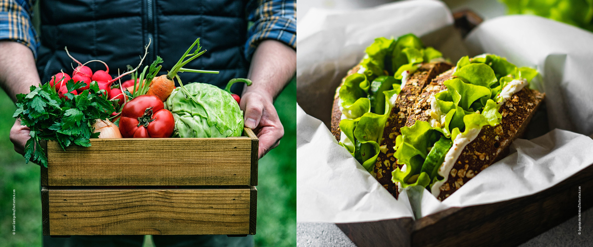 Saisonales Obst und Gemüse für die Brotbox