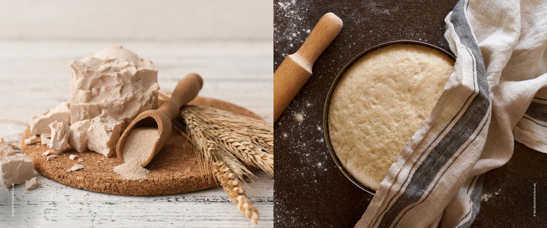 Frische Hefe versus Trockenhefe - Tipps für den Hefeteig