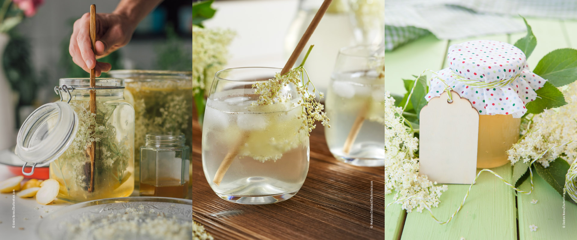 Holunder Blüten Sirup und Gelee selber machen